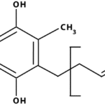 Interaction between Caffeine Alertness Sleep Performance and Health Risks