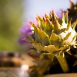 Artichoke Extract treat Hypoglycemic and Hypocholesterolemic?