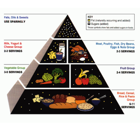 Dietary And Lifestyle Recommendations